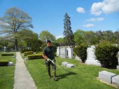 commercial lawn spraying