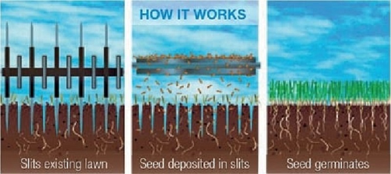 long-island_slit-seeding