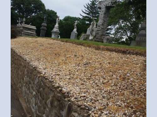 Applied Pre/Post Emergent in Spring. No Growth/Line Trimming Entire Season